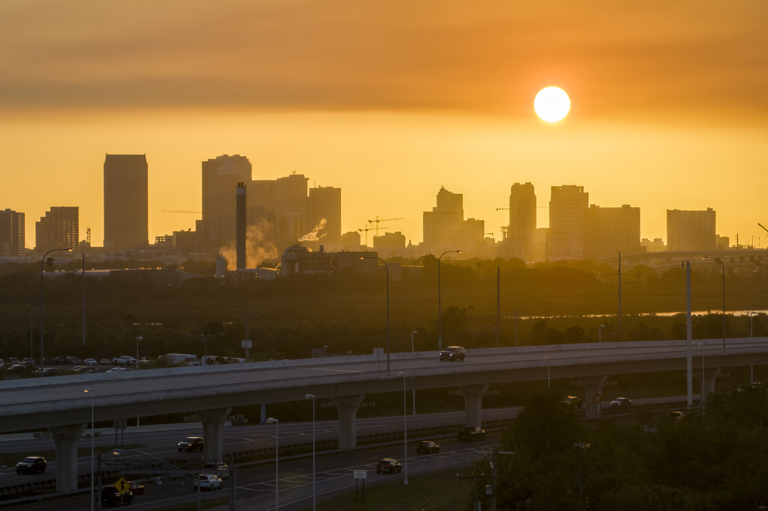 Texas Heatwaves: How it Affects Wildlife Infestations